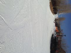 朝阳公园亚布洛尼滑雪场-北京亚布洛尼朝阳公园滑雪场