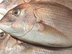 -河风の幸会精致料理