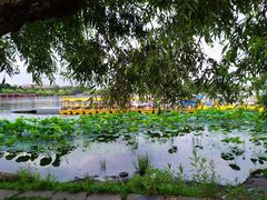 -长春市南湖公园