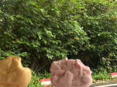 -广州市白云山风景名胜区