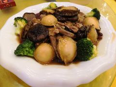 -鸿达渔港