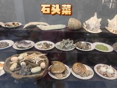 -游龙石文化科普馆