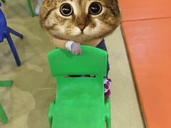 -瑞恩宝感统训练·语言提升·蒙氏托育中心