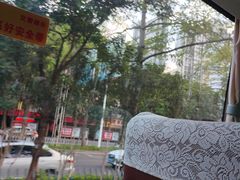 -南宁南湖公园