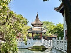 -顺峰山公园