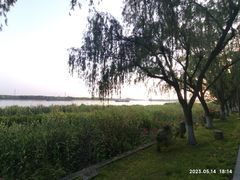 -太阳岛度假酒店