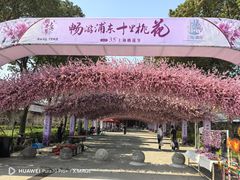 -南汇桃花村