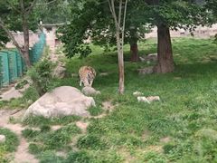 -西安秦岭野生动物园