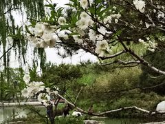 -海淀公园
