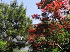 -江宁织造博物馆