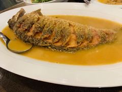 红烧黄河大鲤鱼-阿庄新豫菜(航海东路店)