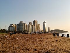 -海滨浴场