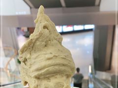-野人先生现做冰淇淋(北京环宇荟店)