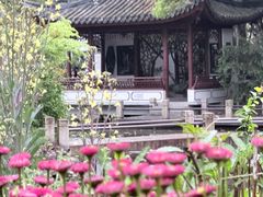 -汇龙潭