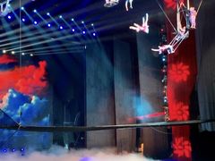 -水秀国际大剧院