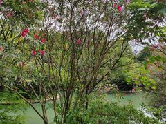 -花溪公园
