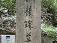-府山公园