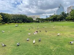 -白鹭洲公园