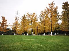 -重庆中央公园(渝北区)