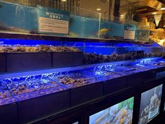 -喜庭海鲜自助(来福士店)