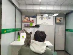 -半岛宠物医院24小时(科华中路店)