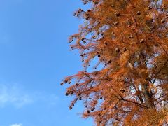 -尚湖风景区