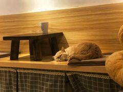 -Double cafe