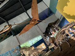 -湖南省地质博物馆