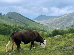 -灵山