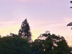 -花溪公园