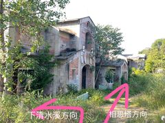 -南山植物园