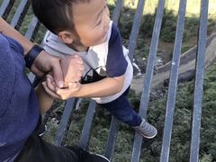 -梦幻奥陶纪景区