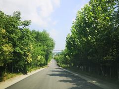 -白鹿原影视城