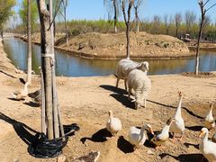 -东郊湿地公园