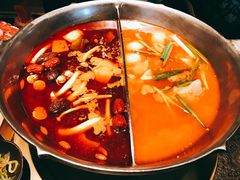 -湊湊火锅·茶憩(新中关购物中心店)