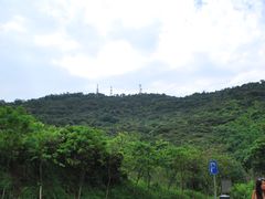 -大湾区中央湿地公园