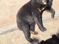 -西霞口神雕山野生动物世界