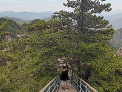 -尧山风景区