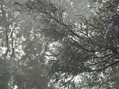 -北坞公园