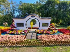 -上海共青森林公园