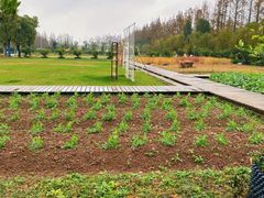 -前小桔亲子创意农场·草莓采摘·露营烧烤