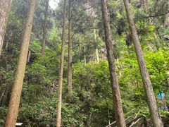 -刘伯温故里景区百丈漈