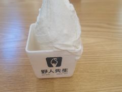 -野人先生Gelato(上海长宁龙之梦店)