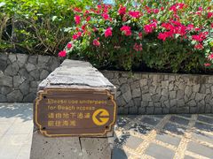 -三亚湾海居铂尔曼度假酒店