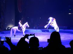 -珠海横琴长隆《卡卡虎奇遇记》