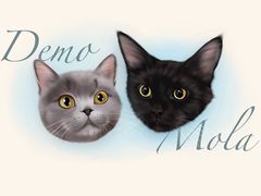 -猫大福·Fortune Cat猫舍(百子湾店)