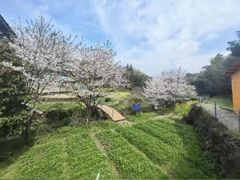 -宁波浙东大竹海景区