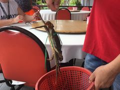 -真浪大家乐海鲜餐馆
