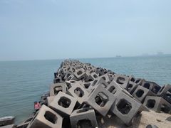-东疆建设开发纪念公园