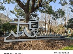 -杭州半山国家森林公园